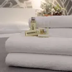 Suite Inn Rome Konukevi Roma