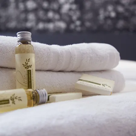 بيت ضيافة Suite Inn Rome 4*